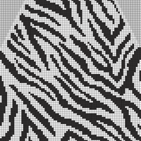 Copy of Zebra stripes decreases