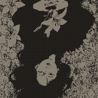 21904.jpg