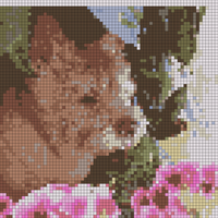 IMG_1527.png