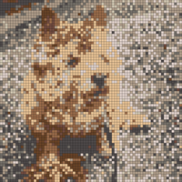 IMG_0846.jpeg