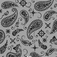 Copy of bwpaisley.webp