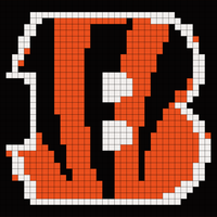 Bengals blanket.jpg