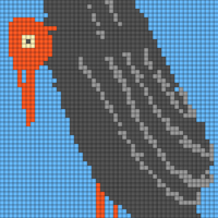 bird
