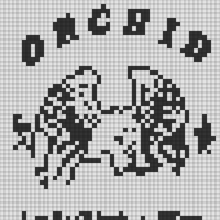 8604.jpg