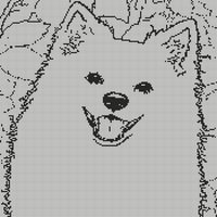 Designer (6)(1).png