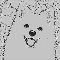 Designer (6)(1).png