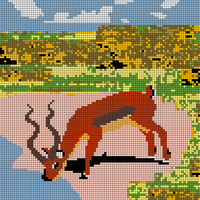 Antelope Drinking Water for Back and Hood of Jacket
