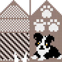 Hvalp votter border collie 5 -7 år  høyre
