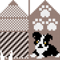 hvalp border collie 5-7 år  venstre