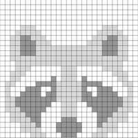 Waschbär