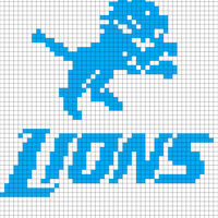 Copy of Detroit Lions Raglan