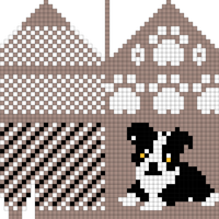 hvalp border collie 8 - 10 år venstre