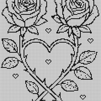IMG_0837.jpeg