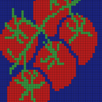 tomato