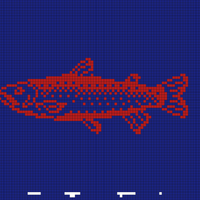 fish.png