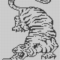 Copy of Tiger graphic.jpg
