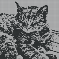 IMG_7044.jpeg