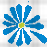 flower burst