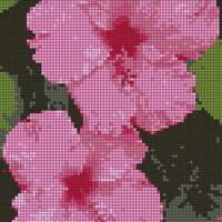 Copy of hibiscus.jpg