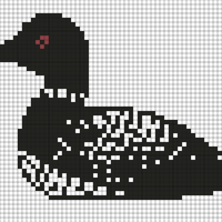 Copy of common-loon-bird-vector-art-260nw-2482798013.webp