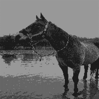 IMG_1414.jpeg