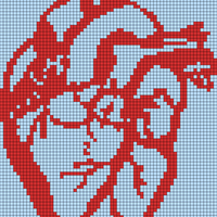 Copy of heart-alpha.jpg