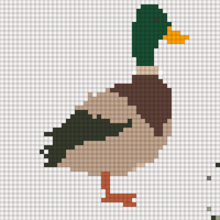 Duck1
