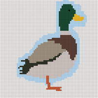 Duck ready