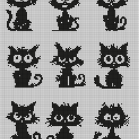 Crazy cats all