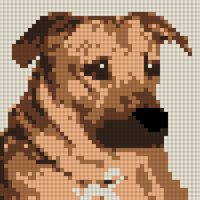 Nala Photo.jpeg