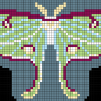 Butterfl