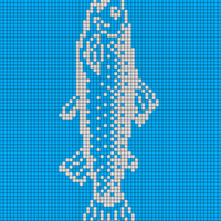 Copy of fish real