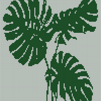 Monstera viltti