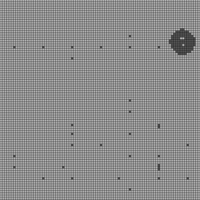 1000013907.jpg