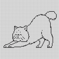 IMG_9553.jpeg