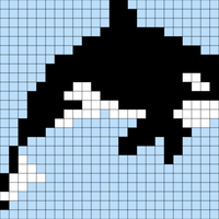 orca