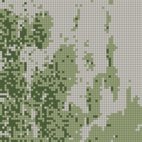 IMG_5384.png