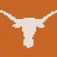 Texas_Longhorns.webp