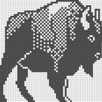 Copy of bison