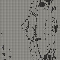 IMG_0779.jpeg