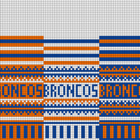 Copy of Broncos Hat #2
