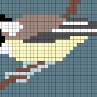 Black-Capped Chickadee alone