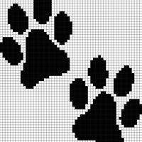 IMG_2075.jpeg