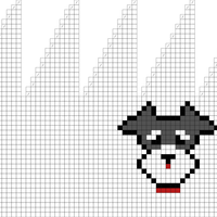 schnauzer head