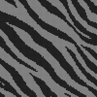 zebra.jpg