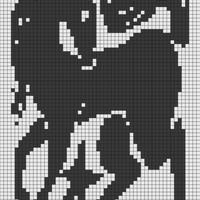 horse star