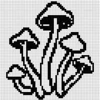 Copy of mushrooms.webp