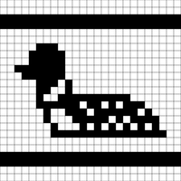 Loon