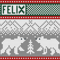 Christmas stocking Bear