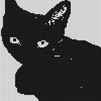 IMG_6162.png